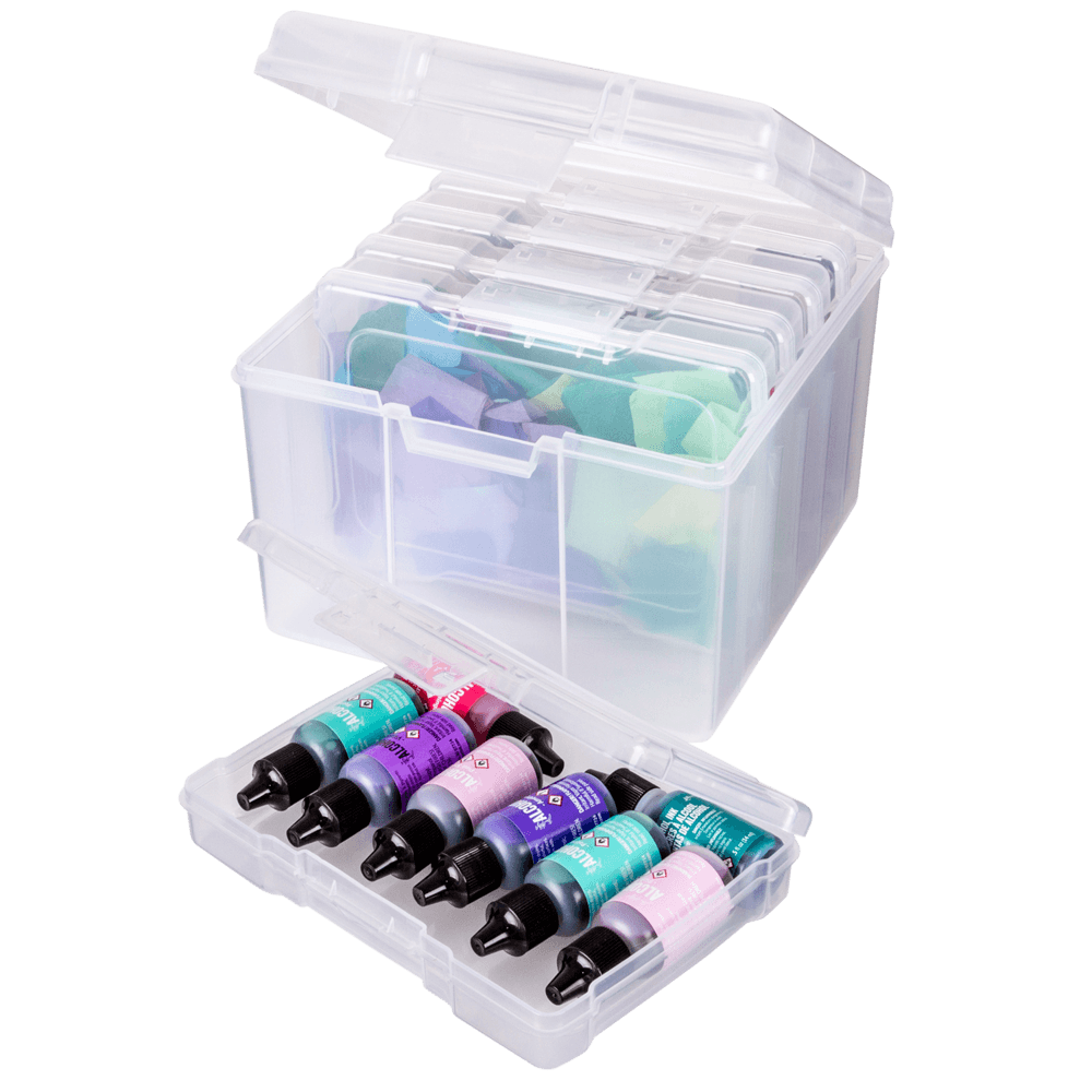 ArtBin 6947ZZ Photo & Craft Organizer Set, Large Box with [5] Plastic  Storage Cases Inside, Clear